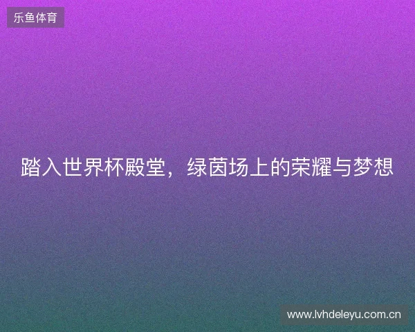 踏入世界杯殿堂，绿茵场上的荣耀与梦想